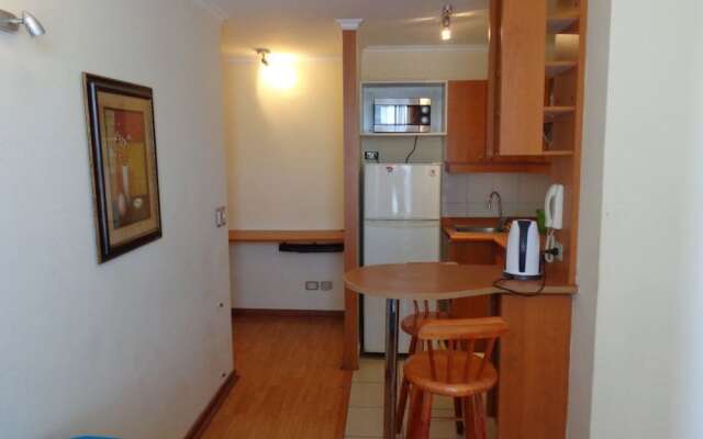 Departamento Vicuña Mackena