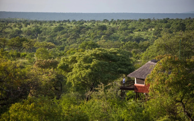 Elewana Tarangire Treetops