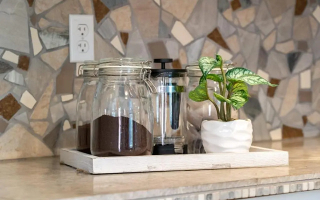 Triceratops Landing I Fire Place I Games I Netflix