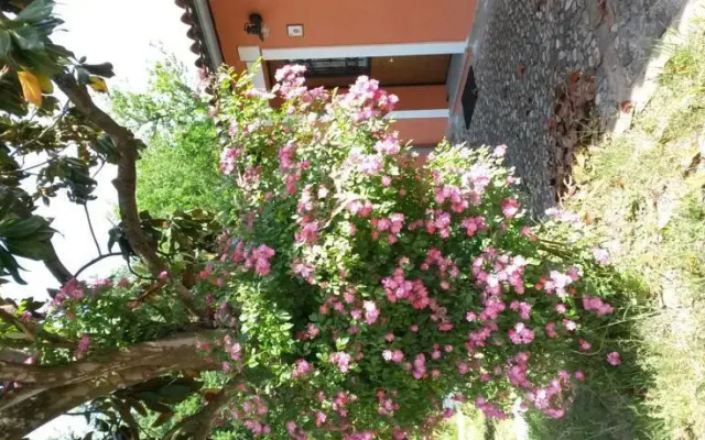 Stella e il Grillo