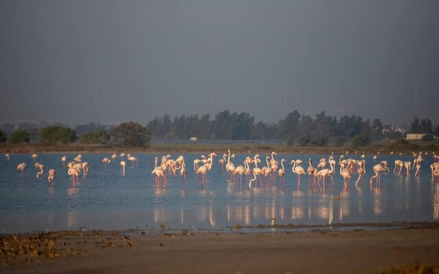 Captivating Lake & Oceanview Getaway House