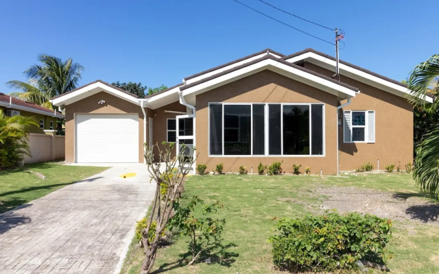 Areca 3B Oasis Drax Hall lot 221