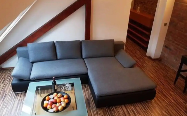 Old Town Apartment Spilberk