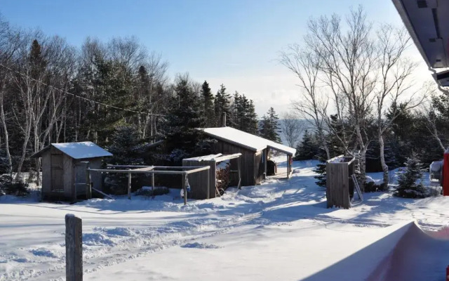 The Dancing Moose Cafe