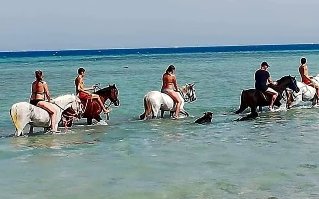 Selena bay Hurghada