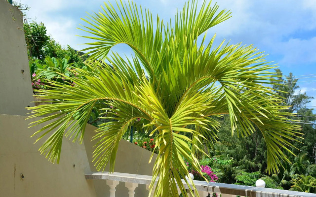 Villa Anse La Blague