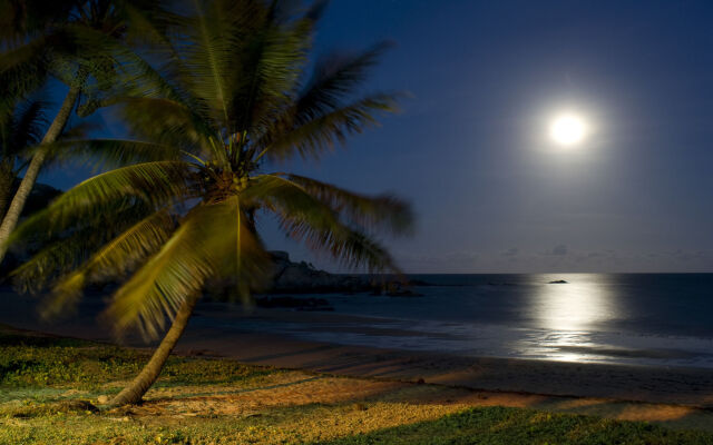 Rose Bay Resort