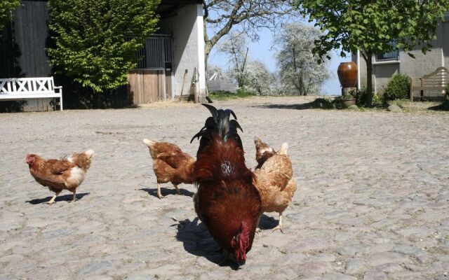 Teglgaarden bed and breakfast