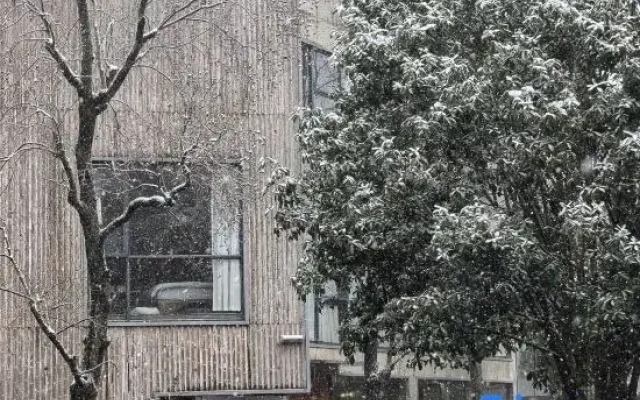 Three logy cafe&craft