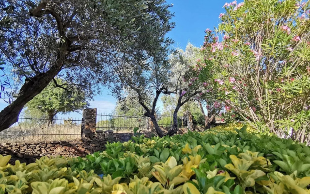 Welcomely - La Casa Di Rita - Salamaghe