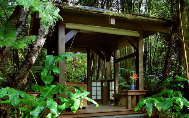 Volcano Rainforest Retreat