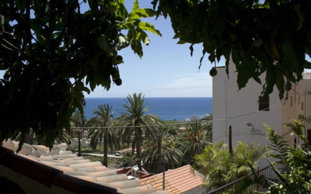 Apartamentos Concha