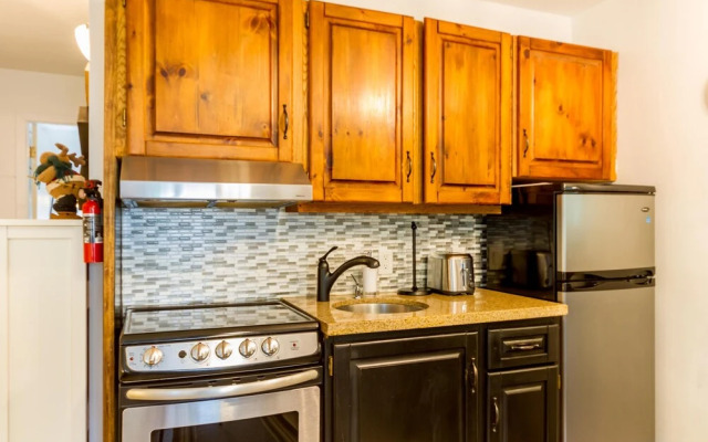 Cute and Cozy, Walk to Gondola Ski in Out