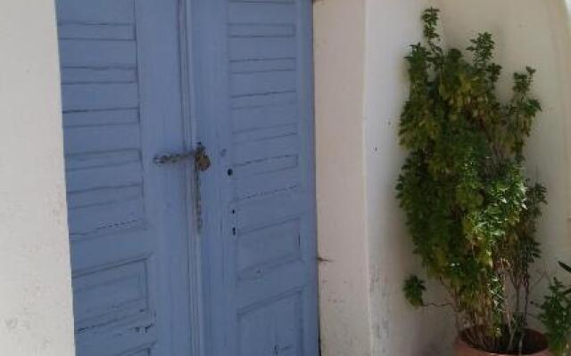 The large bougainvillea house