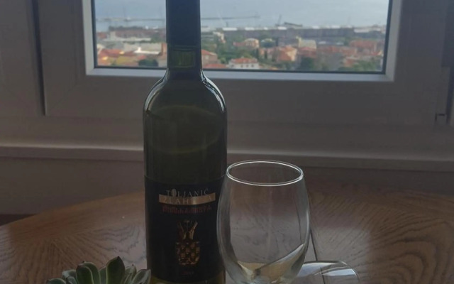 Sunny Kvarner Apartment