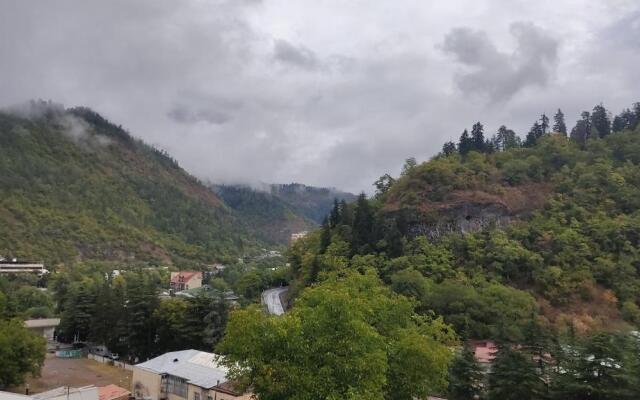 Borjomi Nest 1