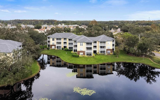 The Urban Oasis Serene Views!