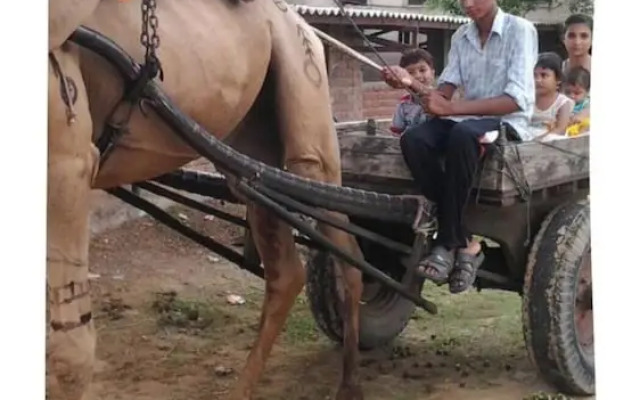 Swapanlok Farms And Resorts