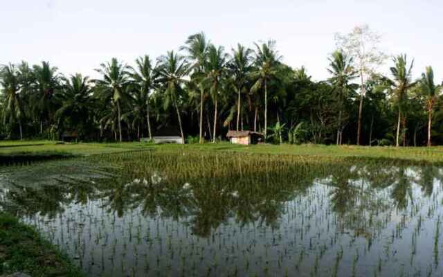 Artist Eco Villa With Wood And Clay