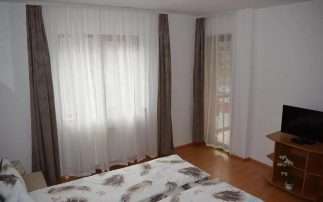 Apartament Trei Stejari
