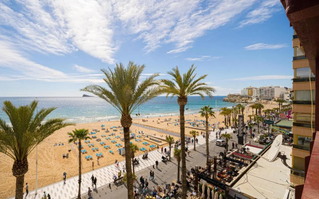 Wg2 Benidorm