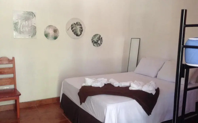 La Jungla