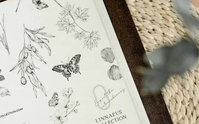 Rubus Green, Berry - by Linnaeus Collection
