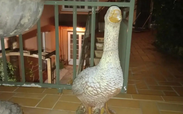 la maison rose: lieu atypique