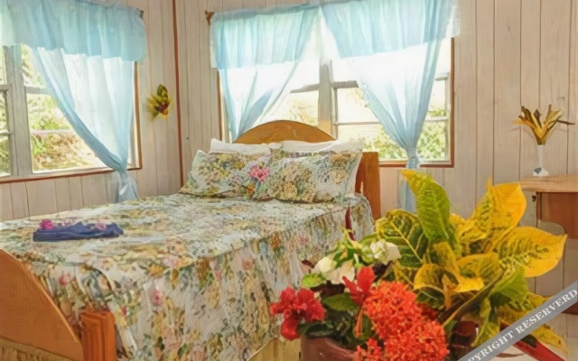 Oceanic View Exclusive Vacation Cottages