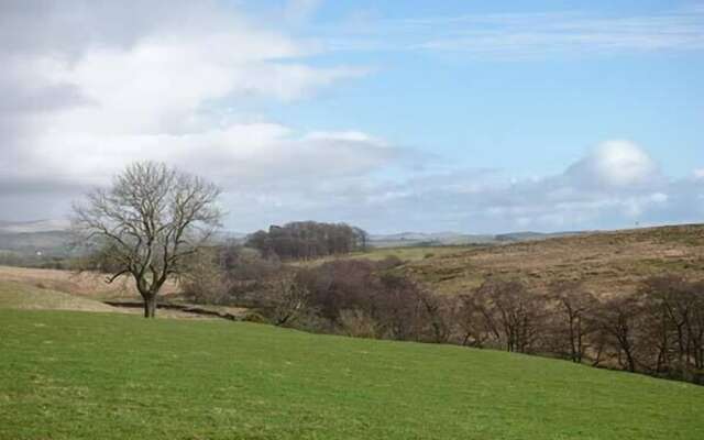 Wenning Bank