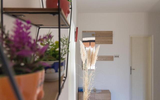 House Jasmin large garden, near Nin