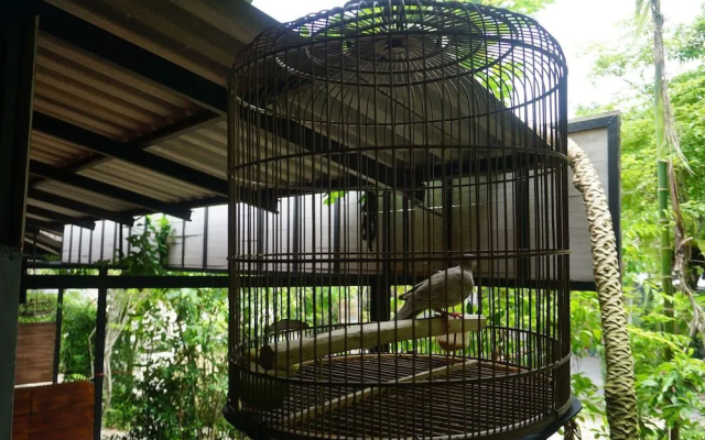 Rommai Plai Tawan Trang