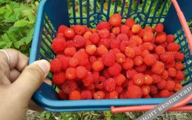 Tianxia Yijia Farmhouse
