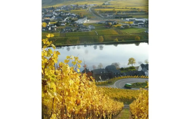 Voor 8 tot 12 Personen