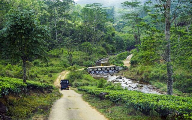 Wild Glamping