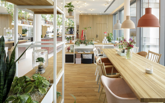 Zoku Vienna