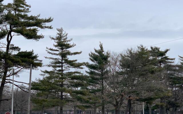 Coliseum Inn & Suites-Garden City Long Island