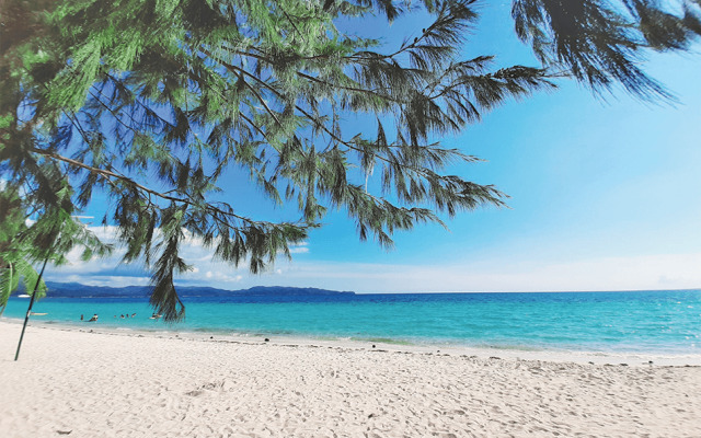 Cocotel Penthouse 8 Colors