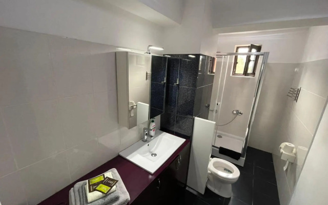 Giurgiului Apartament