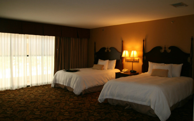 Hampton Inn & Suites Del Rio, Tx