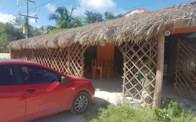 Cedro Tulum