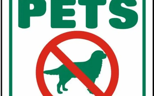 The Lookout at Tahoe Woods