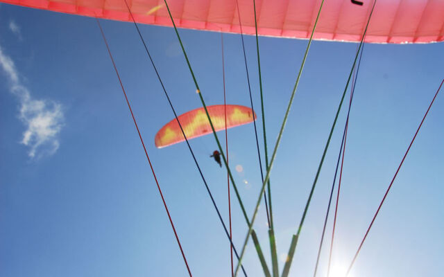 SOWELL Family Les Bergers