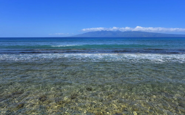 Papakea L108 - 1 Br Condo