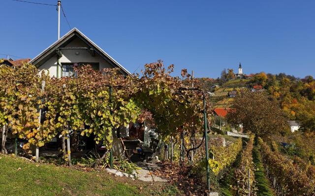 Vineyard cottage Verček