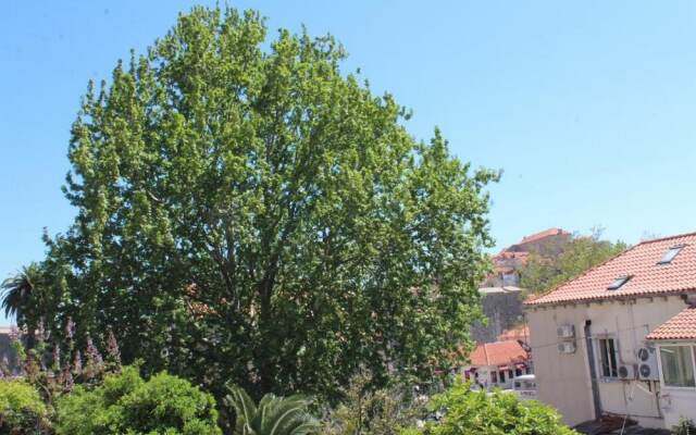 Guest House Gugily