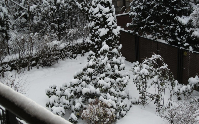 Willa Sezamek blisko szlaków i centrum