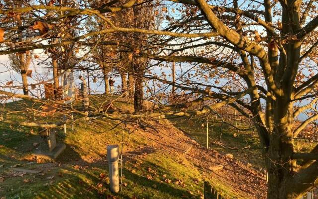 Sternenhimmel Gamlitz FeWo 3 SZ