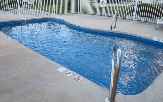 Heron Landing #11 by RedAwning