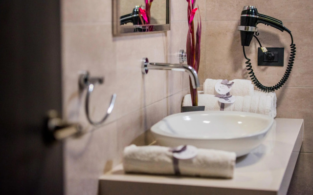 Hotel Viza